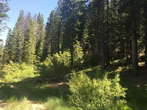 6900 River Rd, Truckee, CA 96161 photo 11