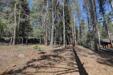 11930 Bottcher Loop, Truckee, CA 96161 photo 5