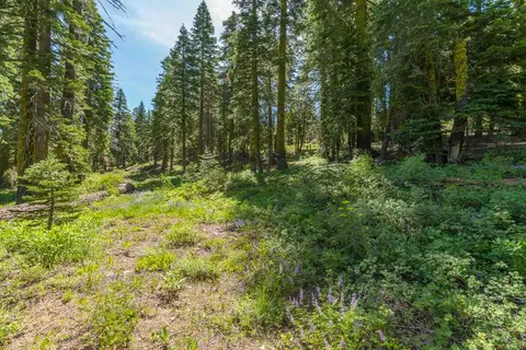 1583 Upper Bench Rd, Alpine Meadows, CA 96146 photo 17