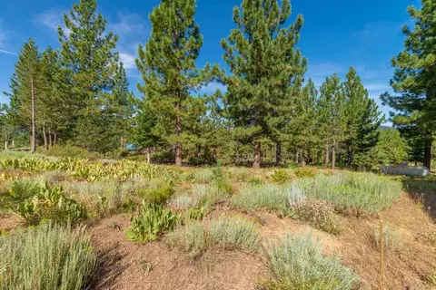 13058 Pinnacle Loop, Truckee, CA 96161 photo 21