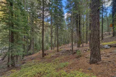 7595 River Rd, Truckee, CA 96161 photo 2