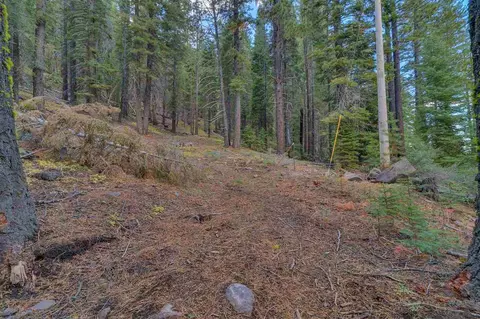 7595 River Rd, Truckee, CA 96161 photo 7