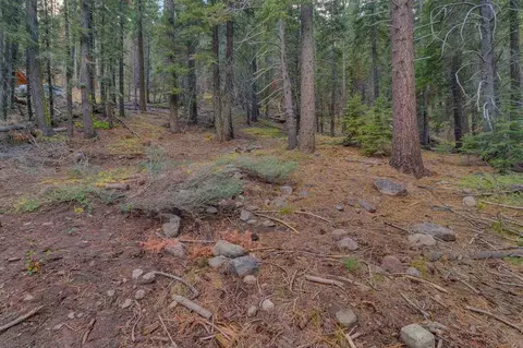 7595 River Rd, Truckee, CA 96161 photo 6