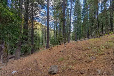 7595 River Rd, Truckee, CA 96161 photo 5