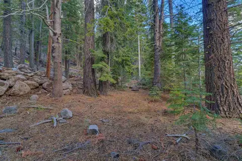 7595 River Rd, Truckee, CA 96161 photo 8