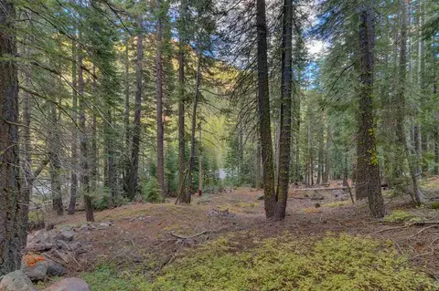 7595 River Rd, Truckee, CA 96161 photo 3