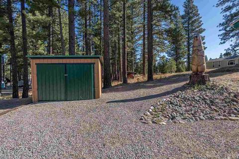 131 Calpine Ave, Calpine, CA 96124 photo 17