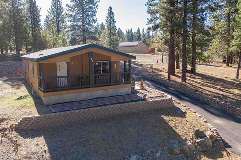 131 Calpine Ave, Calpine, CA 96124 photo 2