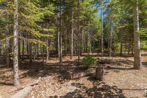 39366 Kearsarge Mill Rd, Alta, CA 95701 photo 4