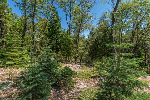39366 Kearsarge Mill Rd, Alta, CA 95701 photo 3