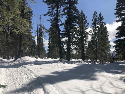 17005 Valley View Rd, Truckee, CA 96161 photo 3