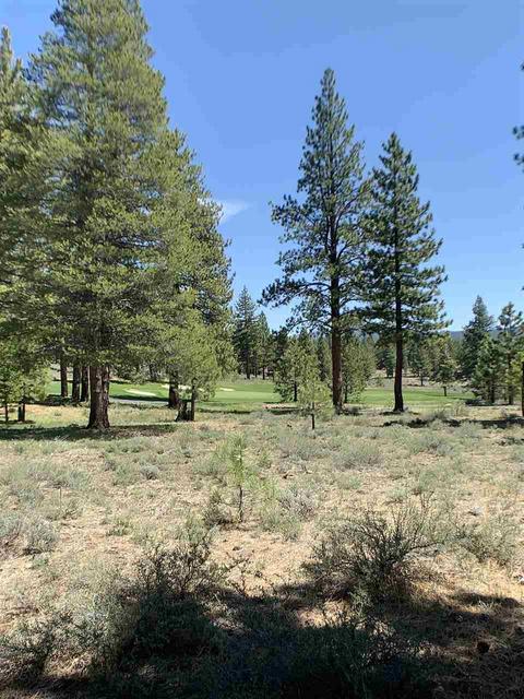 10209 Dick Barter, Truckee, CA 96161 photo 5