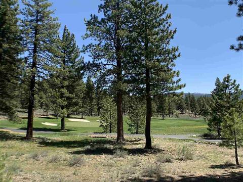 10209 Dick Barter, Truckee, CA 96161 photo 1