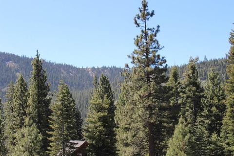 16345 Wolfe Dr, Truckee, CA 96161 photo 5