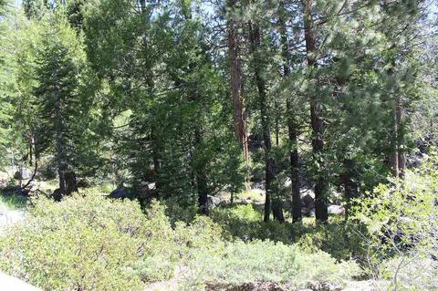 16345 Wolfe Dr, Truckee, CA 96161 photo 7