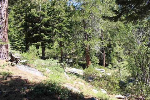 16345 Wolfe Dr, Truckee, CA 96161 photo 15