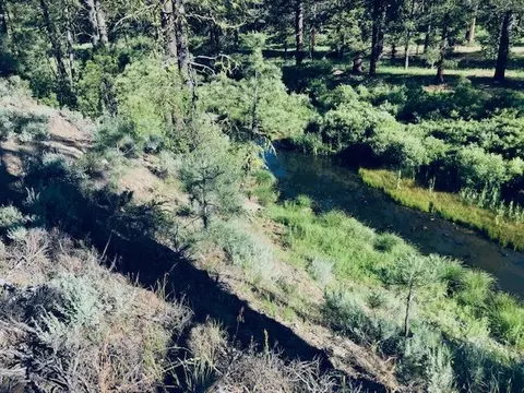799 Valley Ranch Dr, Clio, CA 96106 photo 7