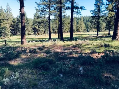 799 Valley Ranch Dr, Clio, CA 96106 photo 4