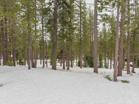 12073 Cavern Way, Truckee, CA 96161 photo 6