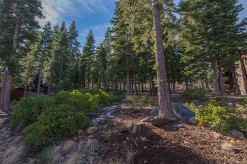 2210 Silver Fox Ct, Truckee, CA 96161 photo 5
