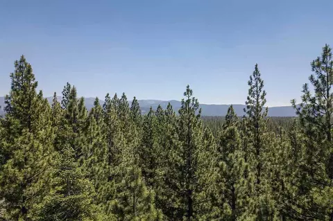 11610 Bottcher Loop, Truckee, CA 96161 photo 14