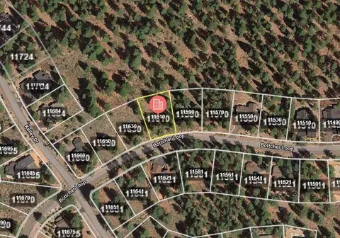 11610 Bottcher Loop, Truckee, CA 96161 photo 7