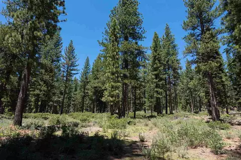 11610 Bottcher Loop, Truckee, CA 96161 photo 10