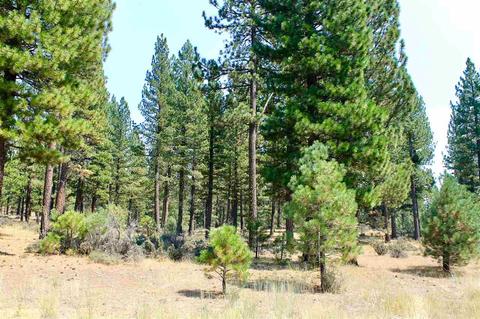 738 Valley Ranch Dr, Clio, CA 96106 photo 14