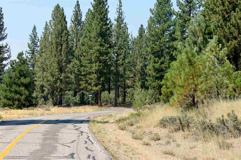 738 Valley Ranch Dr, Clio, CA 96106 photo 13