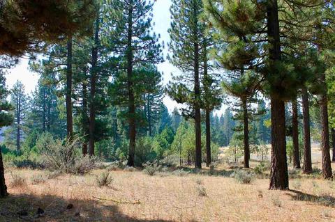 738 Valley Ranch Dr, Clio, CA 96106 photo 9