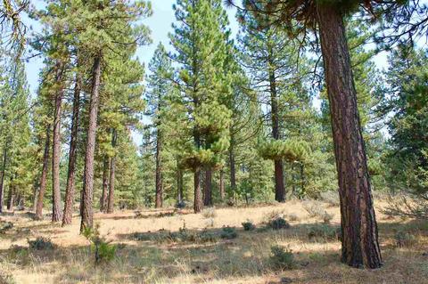 738 Valley Ranch Dr, Clio, CA 96106 photo 2