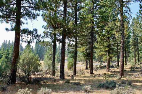 738 Valley Ranch Dr, Clio, CA 96106 photo 8