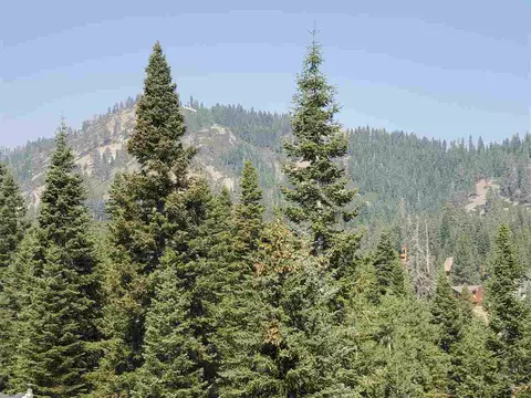 1133 Snow Crest Rd, Alpine Meadows, CA 96146 photo 3