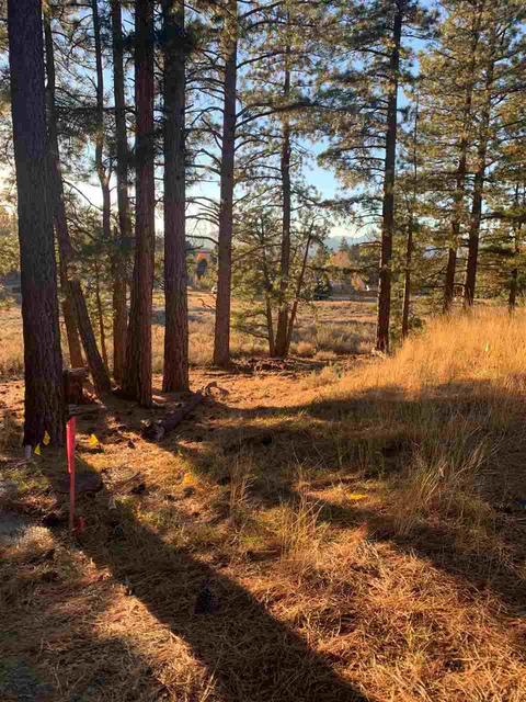 16397 Lance Dr, Truckee, CA 96161 photo 4