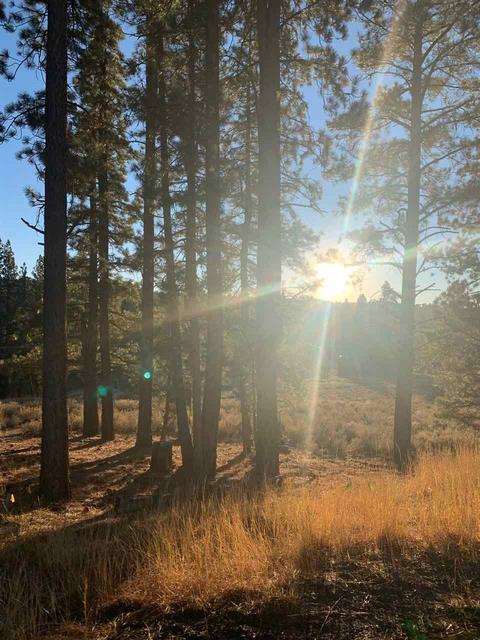 16397 Lance Dr, Truckee, CA 96161 photo 3