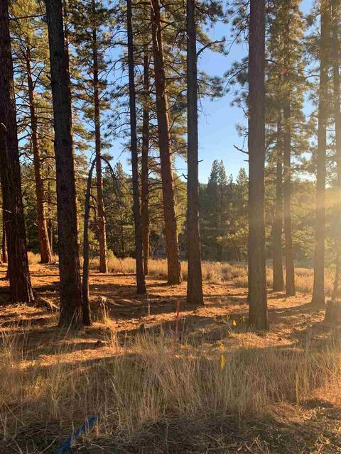 16397 Lance Dr, Truckee, CA 96161 photo 1