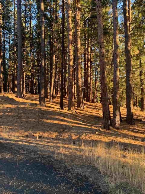 16397 Lance Dr, Truckee, CA 96161 photo 2