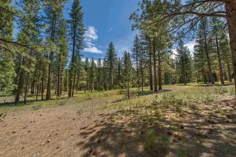 72 Forest Hts, Clio, CA 96106 photo 3
