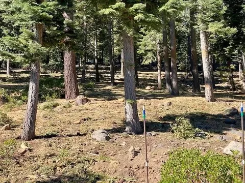2218 Silver Fox Ct, Truckee, CA 96161 photo 2