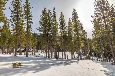 9507 Cloudcroft Ct, Truckee, CA 96161 photo 4