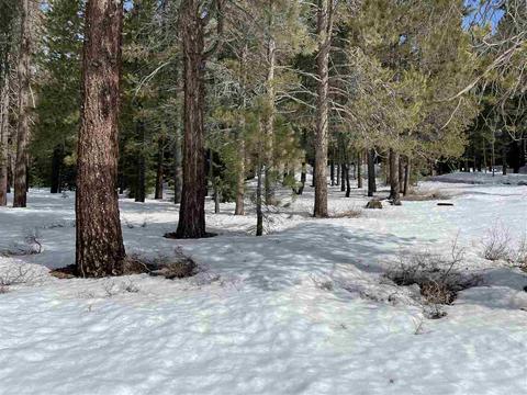 11217 Bennett Flat Rd, Truckee, CA 96161 photo 9