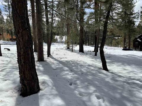 11217 Bennett Flat Rd, Truckee, CA 96161 photo 14