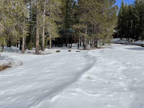 11217 Bennett Flat Rd, Truckee, CA 96161 photo 4