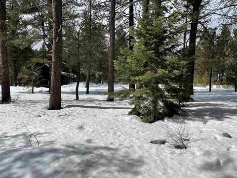 11217 Bennett Flat Rd, Truckee, CA 96161 photo 13