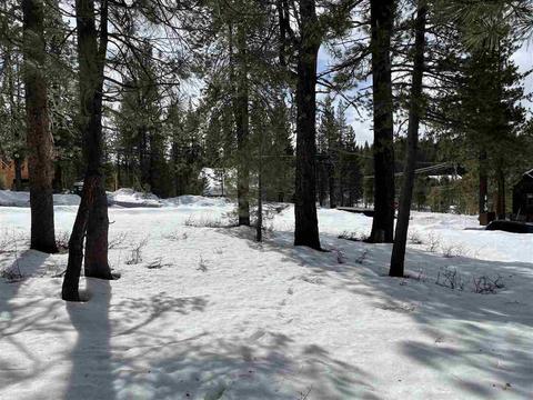 11217 Bennett Flat Rd, Truckee, CA 96161 photo 10