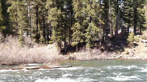 135 Alpine Meadows Rd, Alpine Meadows, CA 96145 photo 2