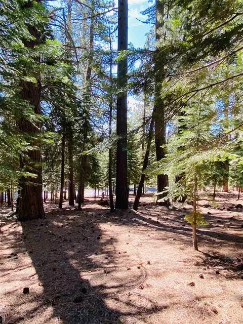 12044 Saddleback Dr, Truckee, CA 96161 photo 5
