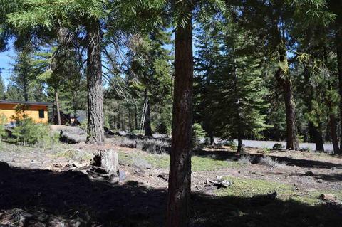 11990 Saddleback Dr, Truckee, CA 96161 photo 10