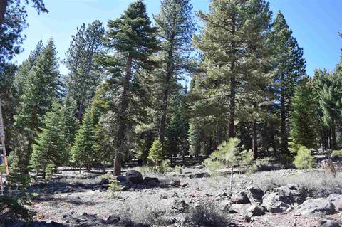 11990 Saddleback Dr, Truckee, CA 96161 photo 1