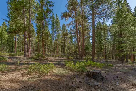 11590 Bottcher Loop, Truckee, CA 96161 photo 8